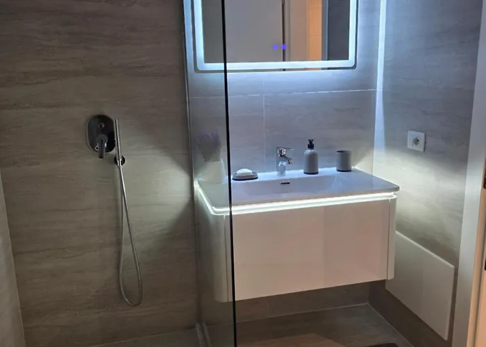 公寓 Leon 地拉那